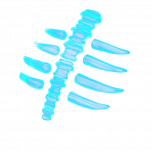 Spectral Spine icon png