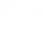 Windmill Stomp icon png