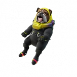 Rocket-Ready Roscoe icon png