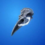 Bird Skull featured png