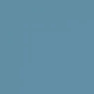 LIGHT BLUE icon