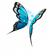 Flutter Wings icon