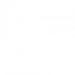 Flipping Out icon png