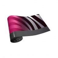 Wild Stripes icon